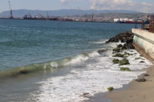 TEKİRDAĞ (AA) – Marmara Denizi'nde 2 gündür etkili olan poyraz,