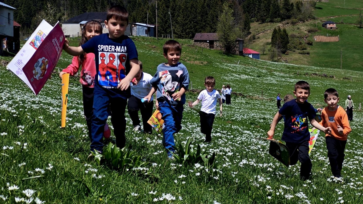 Trabzon'da ilkokul 1. sınıf öğrencileri yayla çiçekleri arasında kitap okudu