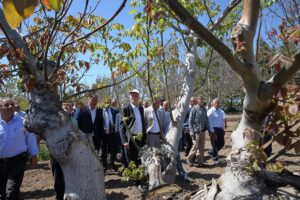 ÇORUM (AA) – Türkiye Ziraat Odaları Birliği (TZOB) Genel Başkanı