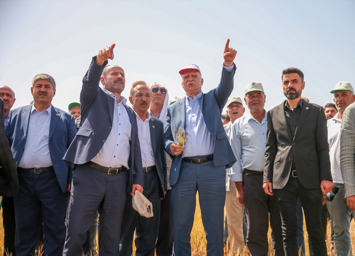 TZOB Genel Başkanı Bayraktar, Diyarbakır'da kuraklıktan etkilenen tarlaları inceledi