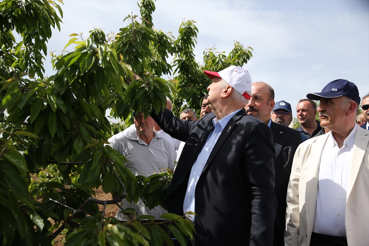 TZOB Genel Başkanı Bayraktar, Eskişehir'de zirai dondan etkilenen kiraz bahçelerini inceledi