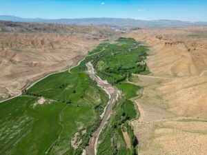 VAN (AA) – Van'ın Gürpınar ilçesindeki mendereslerin çevresi, havanın ısınmasıyla