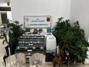 YALOVA (AA) – Yalova'nın Çınarcık ilçesinde evine kurduğu düzenekle uyuşturucu