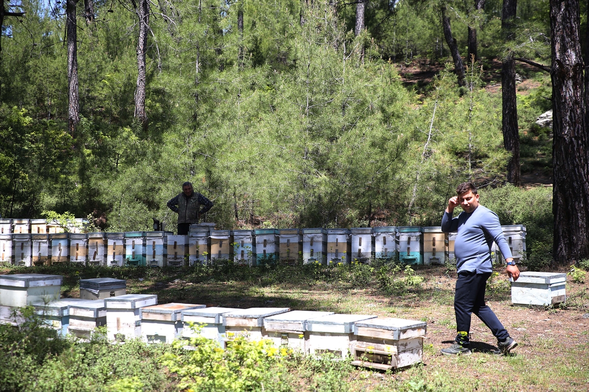 YENİ NESİL ÇİFTÇİLER – Arıcılık yapan genç çiftçi kendi ürünlerini aracısız satmak istiyor
