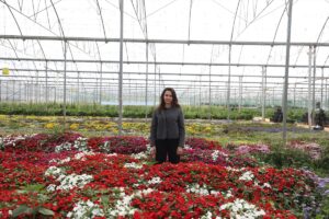 ANTALYA (AA) – MUSTAFA ÇALKAYA – GÜLSEM ADAM – Sera