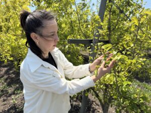 BALIKESİR (AA) – MUSTAFA ÇALKAYA – MİRAÇ KAYA – Balıkesir'de