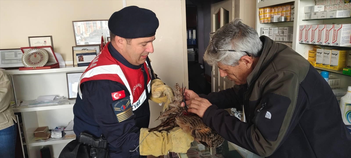 Yozgat'ta dikenli tellere takılmış halde bulunan puhu tedavi altına alındı