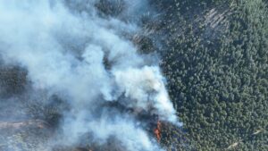 ADANA (AA) – Adana'nın Feke ilçesinde çıkan orman yangını, havadan