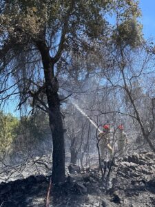 ADANA (AA) – Adana'nın Kozan ilçesinde ormanlık alanda çıkan yangın