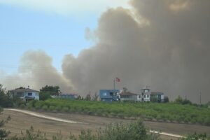 ADANA (AA) – Adana'nın merkez Çukurova ilçesinde çıkan orman yangını