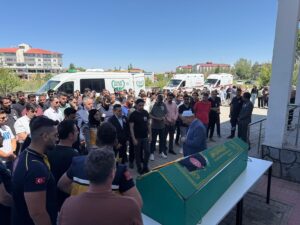 AĞRI (AA) – Ağrı'nın Eleşkirt ilçesinde, otomobiliyle ağaca çarpan acil