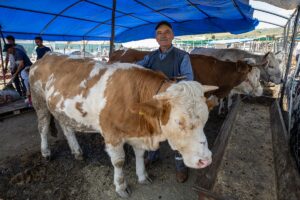 ANKARA (AA) – Başkentte Kurban Bayramı'nın birinci gününde kesimhane ve
