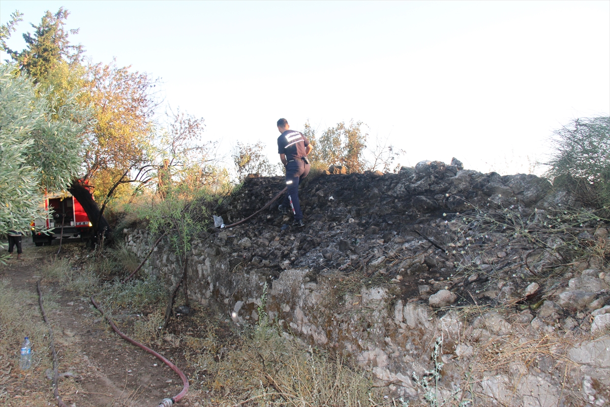 Antalya'da Aspendos Antik Kenti yakınında çıkan yangın söndürüldü