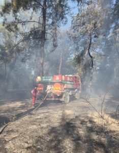 ANTALYA (AA) – Antalya'nın Alanya ve Aksu ilçelerinde çıkan orman