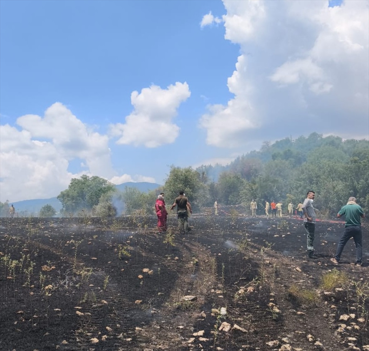 GÜNCELLEME – Antalya'da makilik alanda çıkan yangın kontrol altına alındı