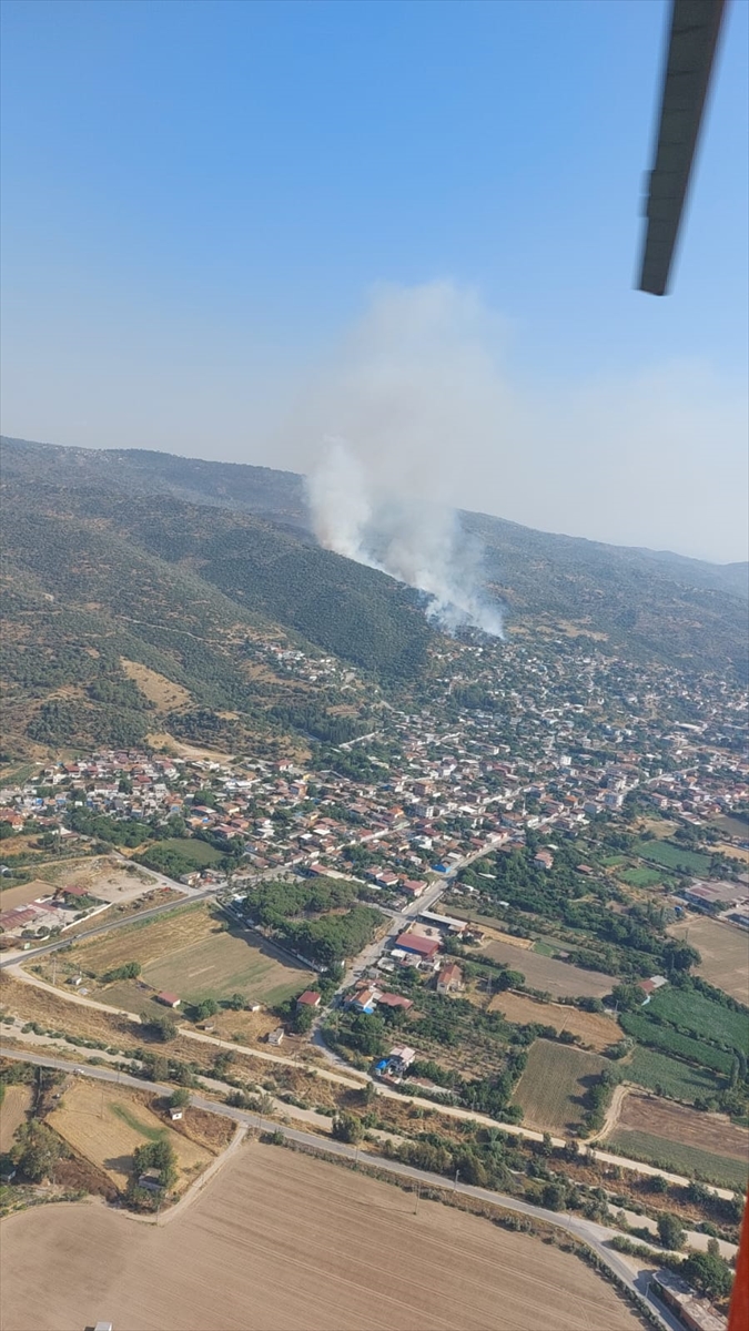 Aydın'da ziraat alanında çıkan yangına müdahale ediliyor