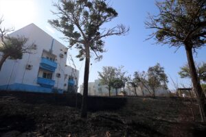 - Toplam 4 yangında 82 hektarlık alan zarar gördü