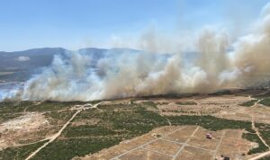 AYDIN (AA) – Aydın'ın Didim ilçesinde makilik alanda çıkan yangına