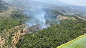 AYDIN (AA) – Aydın'ın Germencik ilçesinde çıkan orman yangınına havadan