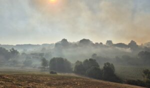 BALIKESİR (AA) – Balıkesir'in Susurluk ilçesinde, arazide çıkan yangın, havadan