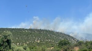 BALIKESİR (AA) – Balıkesir'in Karesi ilçesinde arazide çıkan yangına havadan