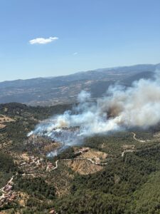 BALIKESİR (AA) – Balıkesir'in Havran ilçesinde araziden ormanlık alana sıçrayan