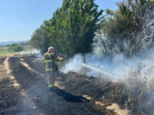 - Havadan ve karadan müdahaleyle söndürülen yangının ormana sıçraması önlendi