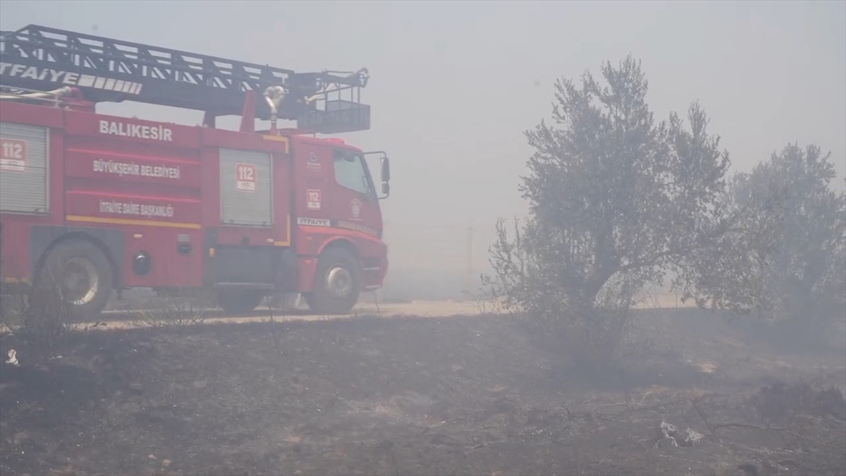 Balıkesir'de çöplük alanda çıkan yangın zeytin bahçelerine sıçradı