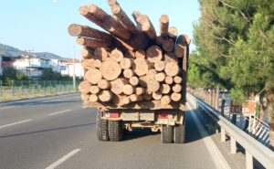 BALIKESİR (AA) – Balıkesir'in Edremit ilçesinde tomruk yüklü kamyon ile