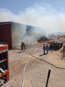BALIKESİR (AA) – Balıkesir'in Burhaniye ilçesinde bir tarım işletmesinde samanların