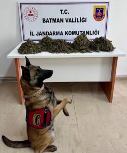 BATMAN (AA) – Batman'da bir araçta 4 kilogram kubar esrar