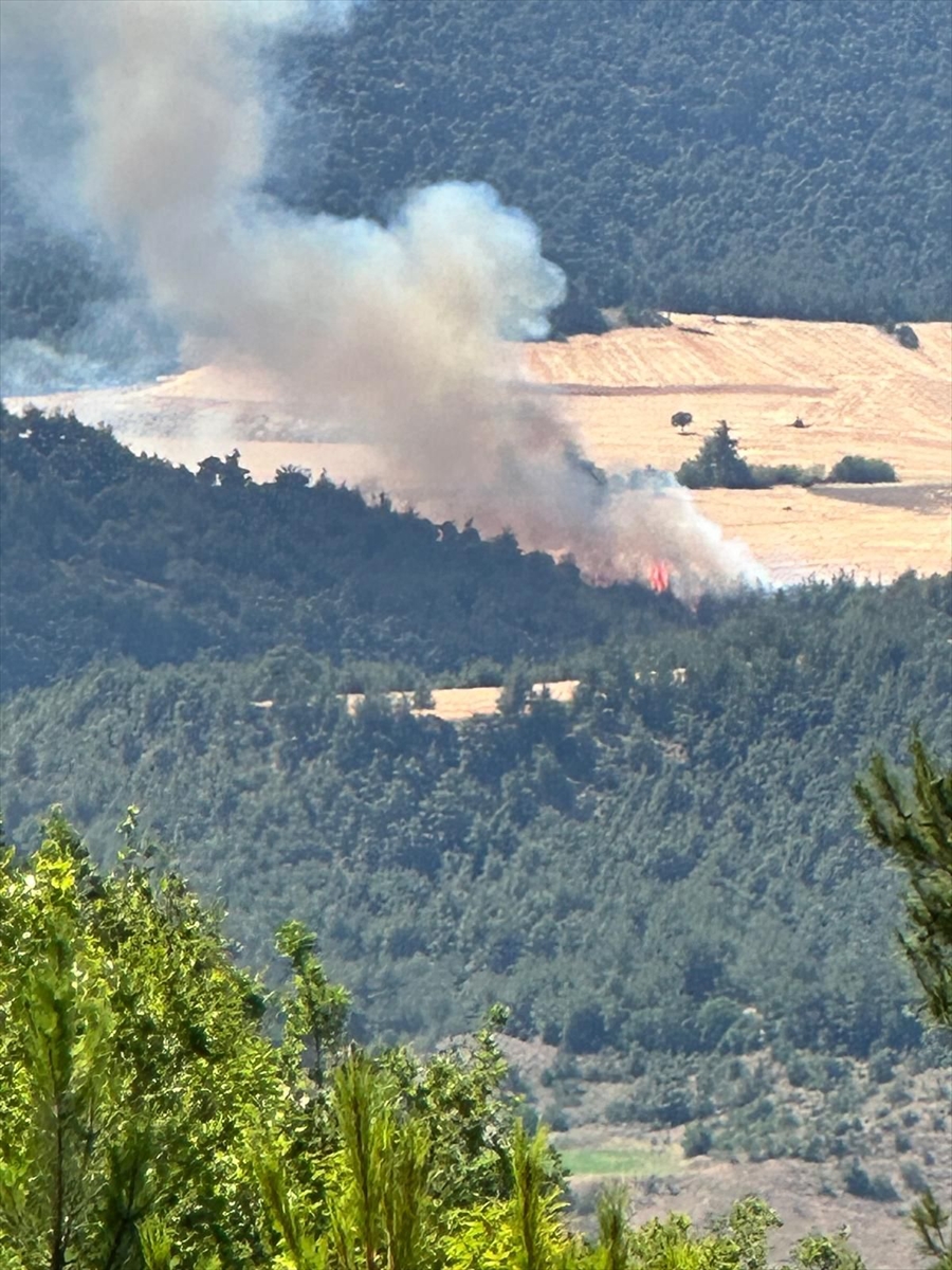 Bilecik'in Osmaneli ilçesindeki orman yangınına müdahale ediliyor