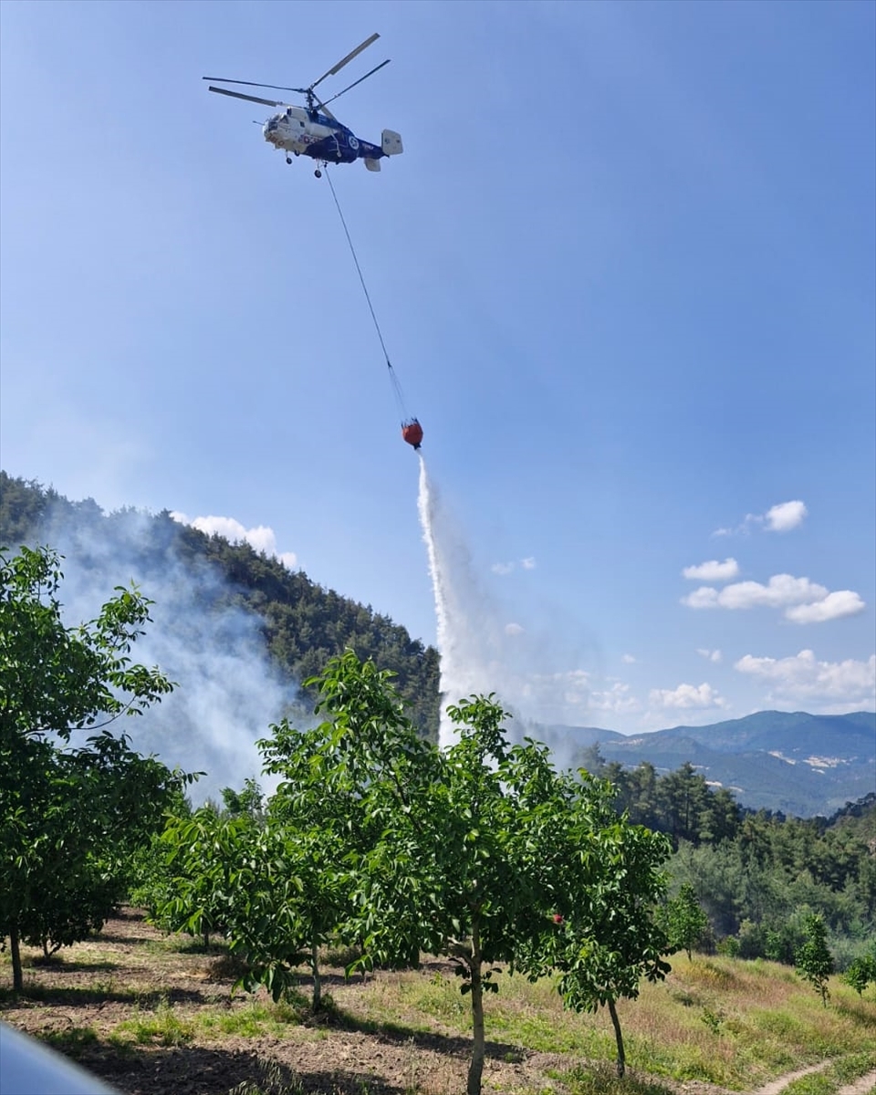 Bilecik'te çıkan orman yangını söndürüldü