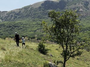 BİNGÖL (AA) – Tarım ve Orman Bakanlığınca, Babalar Günü dolayısıyla