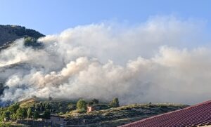 BİNGÖL (AA) – Bingöl'ün Genç ilçesinde ormanlık alanda çıkan yangın