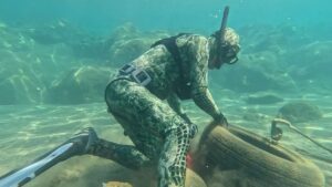 MUĞLA (AA) – Muğla'nın Bodrum ilçesinde düzenlenen etkinlikte dalgıçlar, deniz