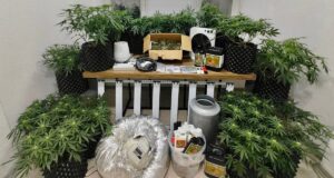 MUĞLA (AA) – Muğla'nın Bodrum ilçesinde iklimlendirme sistemiyle uyuşturucu üreten