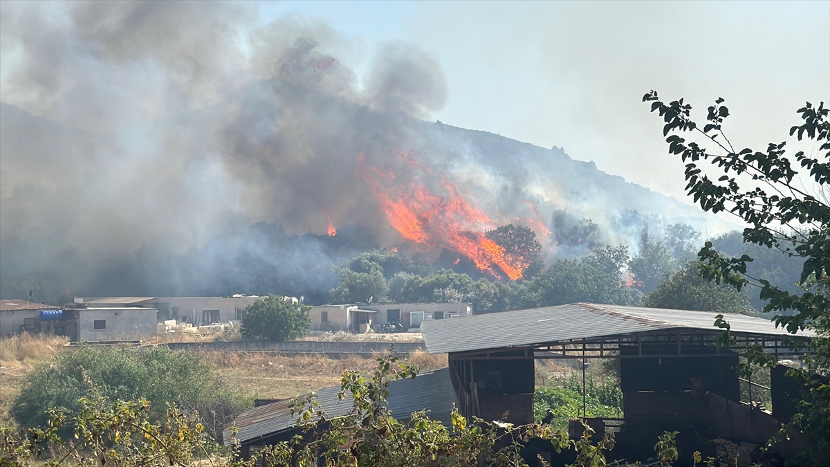 Bodrum'da makilik alanda çıkan ve rüzgarla yayılan yangına müdahale ediliyor