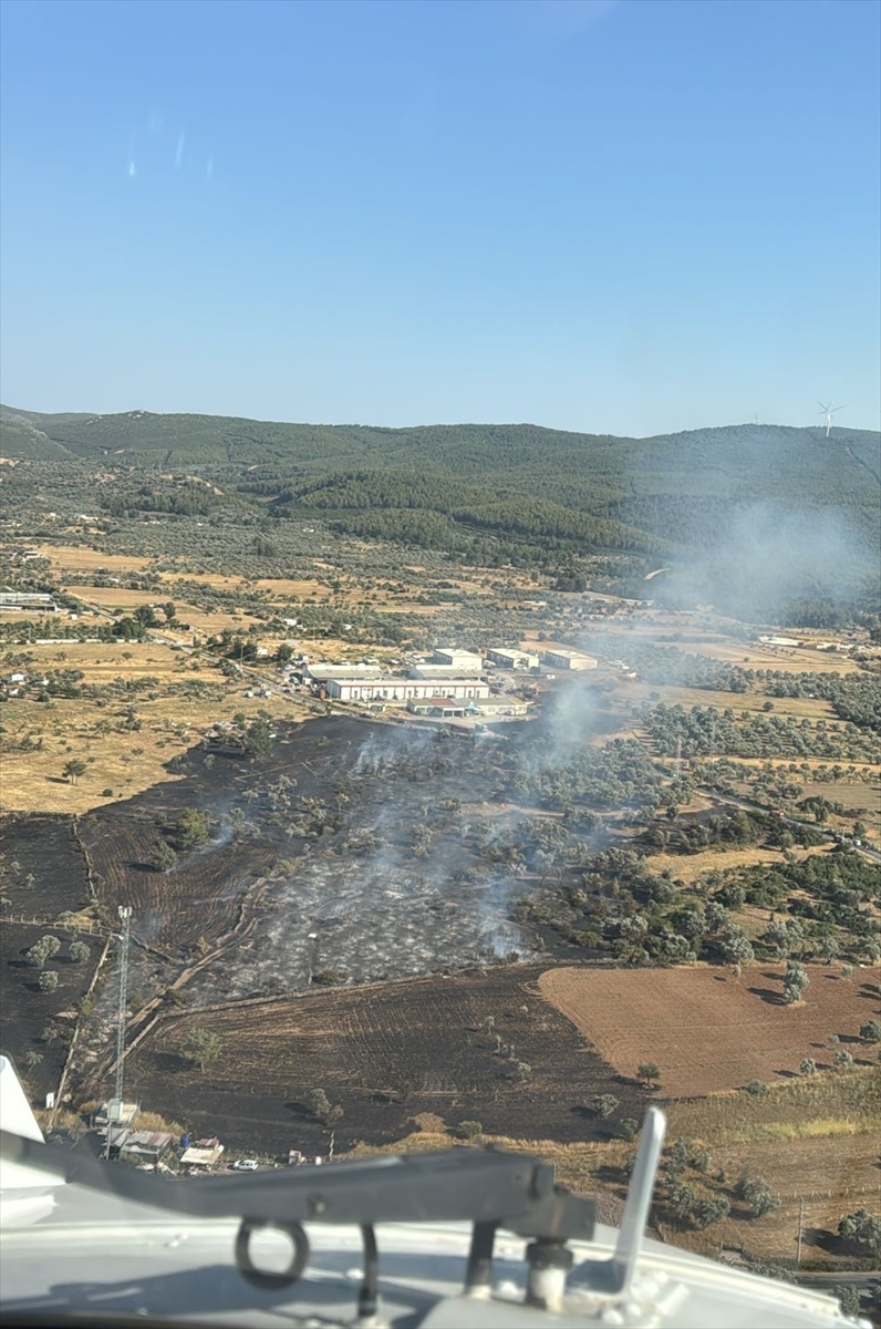Bodrum'da tarım arazisinde çıkan yangın söndürüldü