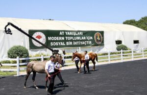 BURSA (AA) – Bursa'da, Tarım İşletmeleri Genel Müdürlüğü (TİGEM) Karacabey