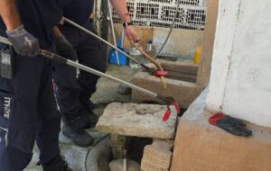 BURSA (AA) – Bursa'nın İnegöl ilçesinde evin bahçesinde yakalanan oluklu