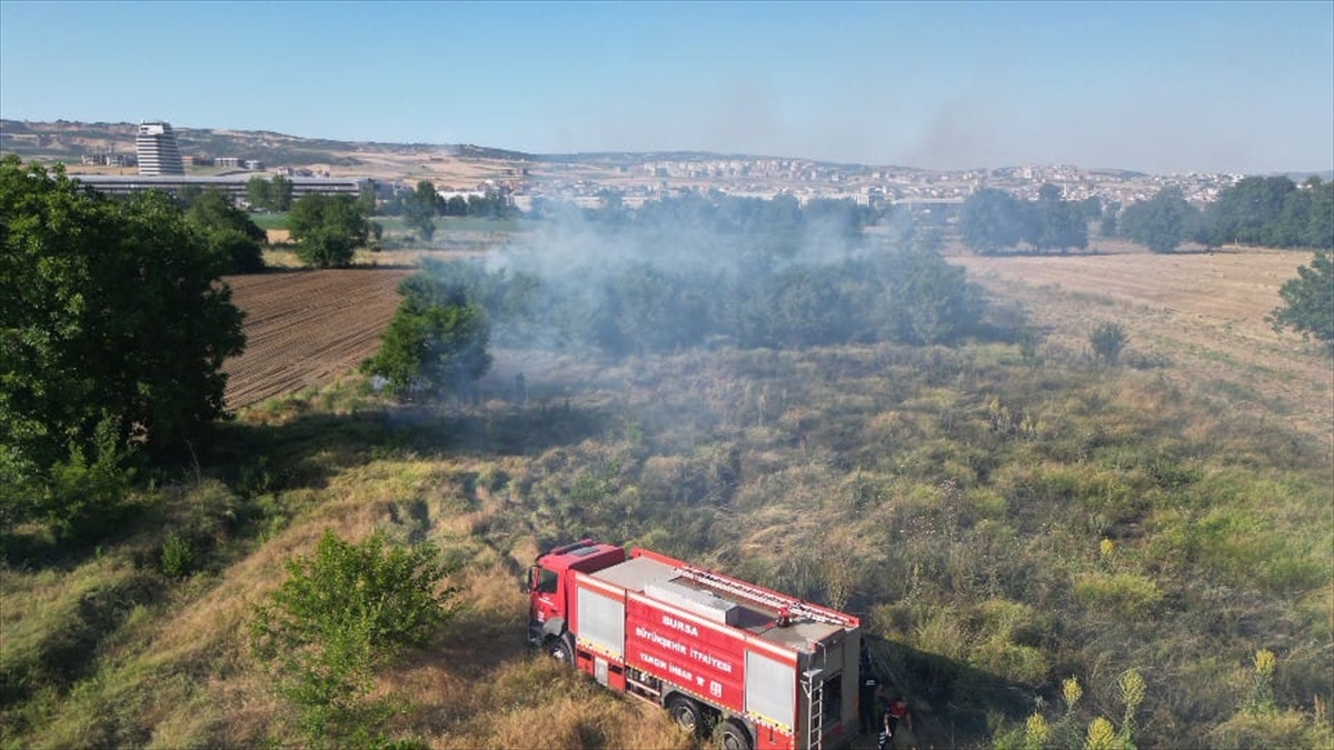 Bursa'da çalılık alanda çıkan yangın söndürüldü
