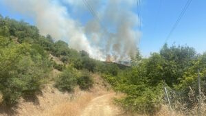 BURSA (AA) – Bursa'nın Yenişehir ilçesinde çıkan orman yangını havadan