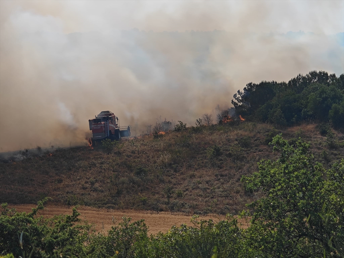 Bursa'da çıkan orman yangınına müdahale ediliyor