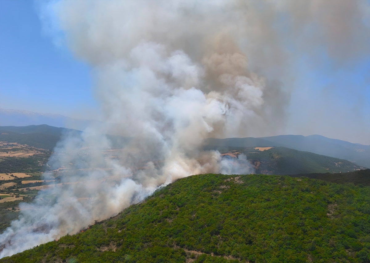 Bursa'da çıkan orman yangınına müdahale ediliyor