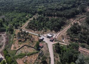 - Karacabey ilçesindeki barınakta kış uykusundan çıktıktan sonra metabolizmaları hızlanan