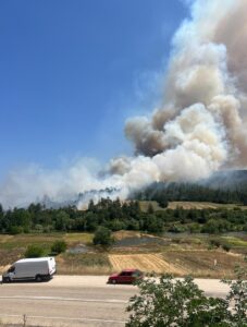 BURSA (AA) – Bursa'nın Orhaneli ilçesinde anızda başlayıp daha sonra