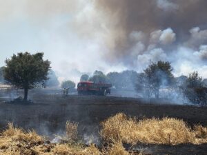 ÇANAKKALE (AA) – Çanakkale'nin Ezine ilçesinde tarım arazisinde başlayan yangına