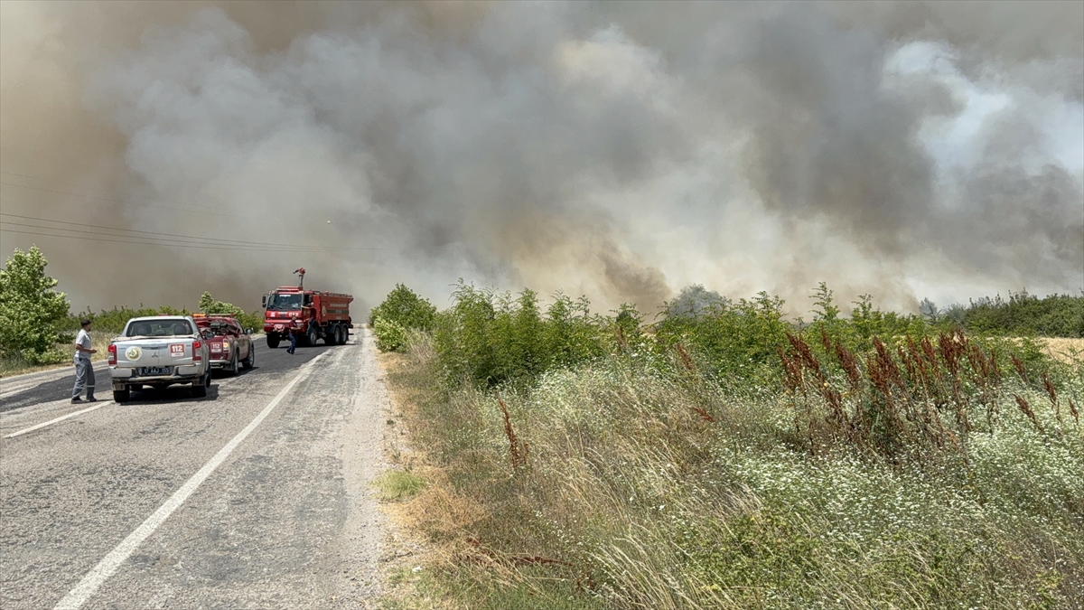 Çanakkale'de tarım arazisinde çıkan yangın söndürüldü