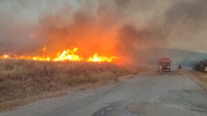 ÇANAKKALE (AA) – Çanakkale'nin Ayvacık ilçesi yakınlarındaki tarım arazisinde çıkan